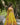Mustard Colour Floral Fantasy: Polyester Viscose Chanderi Lehenga Choli 3
