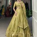 Pista Colour Pure Chanderi Plain Lehenga with Intricate Zari Work Border