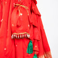 Red Colour Paithani Lehenga Choli 3