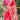 PINK paithani weaves sarees 2