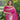Pink Colour Duck Paithani Saree 2