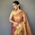 BROWN Jacquard Zari Weaving Saree 1