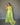 LIGHT  GREEN  Jacquard Zari Weaving Saree