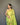 LIGHT  GREEN  Jacquard Zari Weaving Saree 1