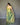 PEAR GREEN   Jacquard Zari Weaving Saree 2