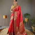  RED rosy soft silk saree with beautiful border and rich pallu
