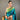 TEAL BLUE paithani weaving sarees 1