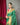 GREEN  PURE PATOLA SILK SAREE WITH PAITHANI 1