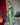 GREEN  PURE PATOLA SILK SAREE WITH PAITHANI