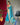 FIROZI   PURE PATOLA SILK SAREE WITH PAITHANI