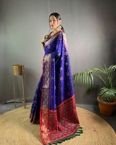 BLUE SOFT RANGEEN PATOLA SILK SAREE 2