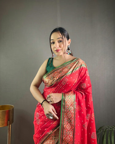 RED SOFT RANGEEN PATOLA SILK SAREE 1