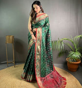 GREEN  SOFT RANGEEN PATOLA SILK SAREE