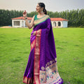 WINE ganga jamuna border in combination with paithani weaving sarees  