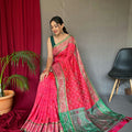 RED SOFT RANGEEN PATOLA SILK SAREE 2