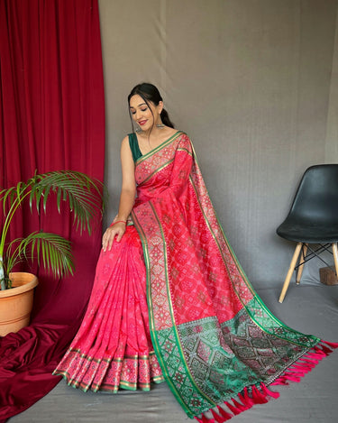 RED SOFT RANGEEN PATOLA SILK SAREE 2