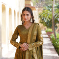 Mehndi Colour Viscose Cosmos With Embroidery Zari Sequins-work Gown 4