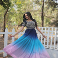 Multi Colour Designer Sequins Embroidery Gown 4