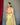 Golden-Pista  Anokhi Digital organza zari sweaving saree