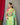 Golden-Rama Anokhi Digital organza zari sweaving saree