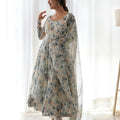 Off White Colour Pure Soft Organza Silk Gown 2