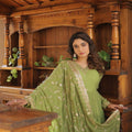 Parrot-green Faux Georgette with Embroidered work 2