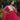 RED Faux Blooming With Embroidery Zari Sequins-work Gown 4